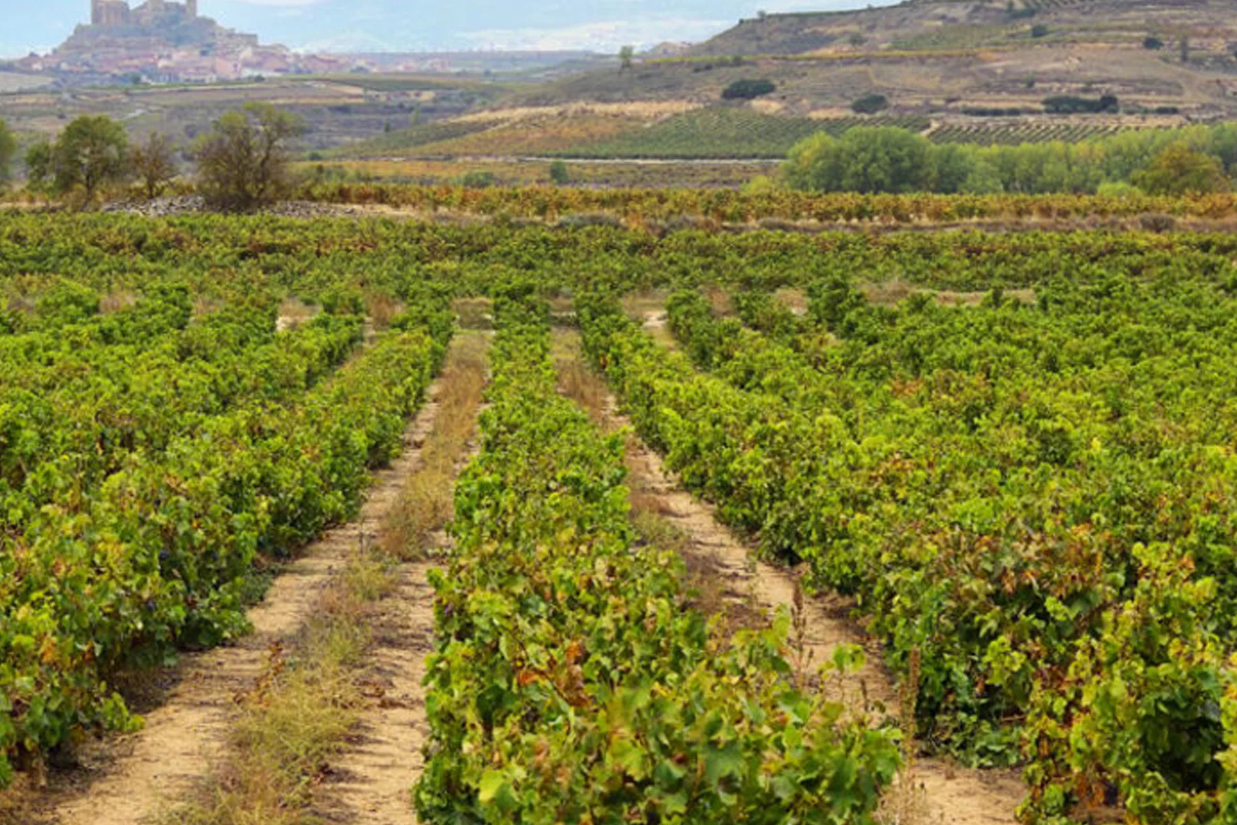 Wine and Heritage Route of the North (10 days)